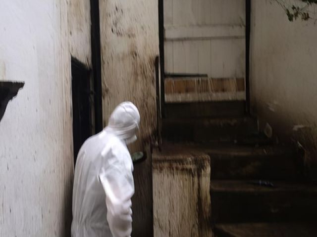 adur-pest-control (18)-kireth-ai